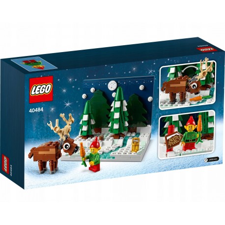LEGO® 40484 Santova předzahrádka